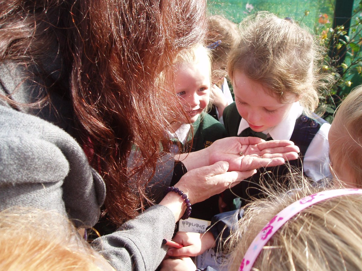 stbrigids_gns's tweet photo. Autumn Nature Hunt in Room 4 #seniorinfants #autumn #nature #outdoorlearning #fallingleaves #squirrells #usingoursenses https://t.co/omDgsgL4eW