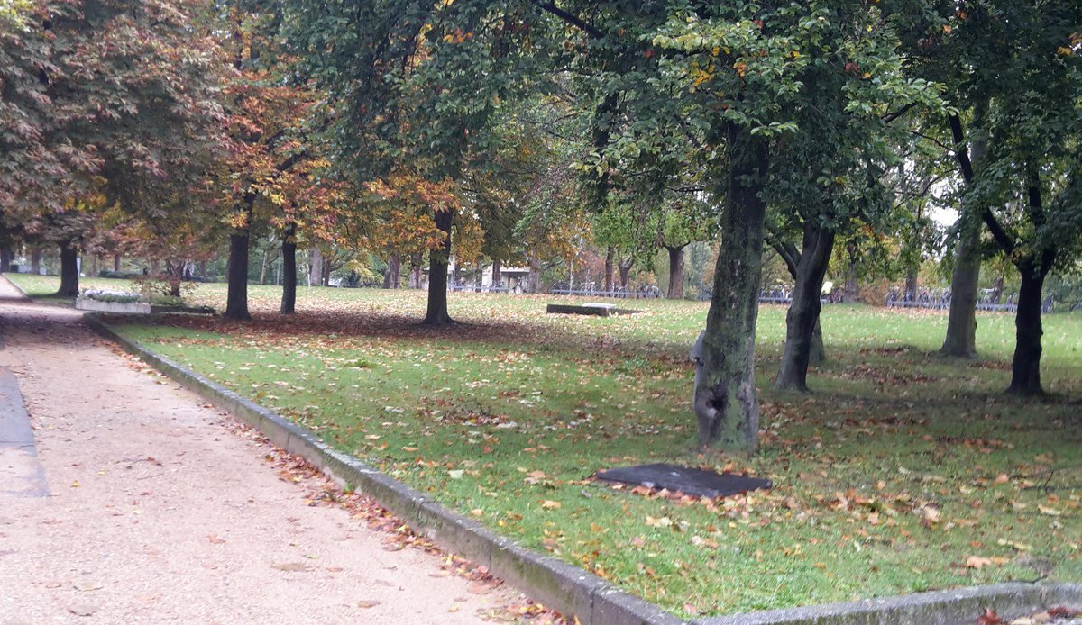 ✧ Der Herbst ist die Jahreszeit, in der die Natur die Seite umblättert! ♡ ツ✌✧ #DieWeltsehen #Charité #Blätterzauber #super #phantasievoll