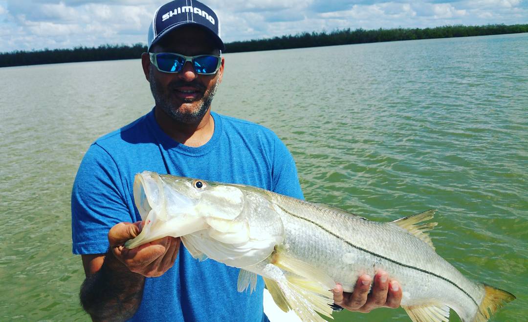 longbeachfly's tweet photo. #snook #slotsnook @shimanofish @CostaSunglasses @stcroixrods #marcoisland https://t.co/MBi625iCrt