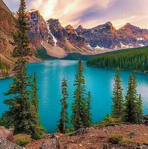 #nature.