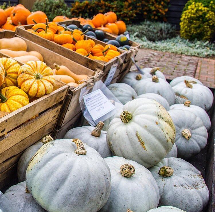 Castle Farm, Kent tweet media