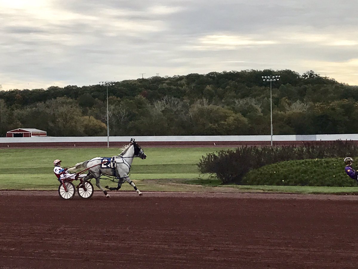 DownsAtMSP's tweet photo. Spotted on the track for Qualifiers-a #GreyGhost! #Halloween is coming! #HarnessRacing #DonaldDoc @teamallard https://t.co/lbTQmbT2e6