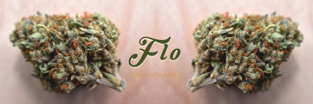 #WCW on this beautiful, pear-shaped lady who goes by the name of Flo!
*NOW HARVESTING*

#lossuenosfarms #legalweed #marijuana #colorado #nug