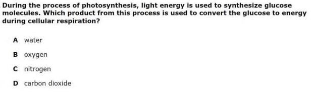 STEMwithJen's tweet photo. #OCPSBioEOC Question of the Day! Make sure to reply with your answer! https://t.co/BqPN5Z6OQp