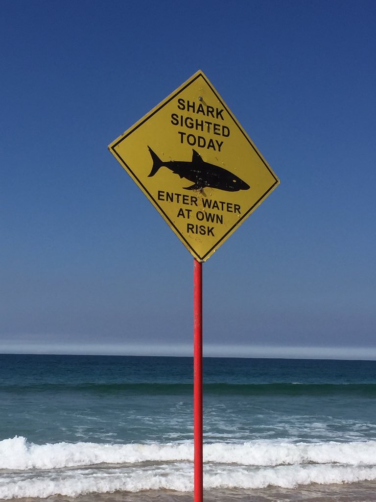 bornkiwi101's tweet photo. @KathyLette Australian women live for signs like this. #hugashark #swimmingwithjaws https://t.co/n7NNuhublC