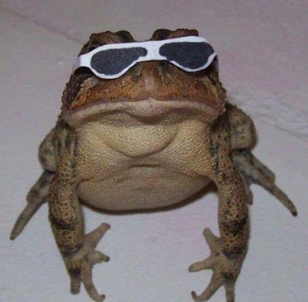 Topal Sinek tweet media