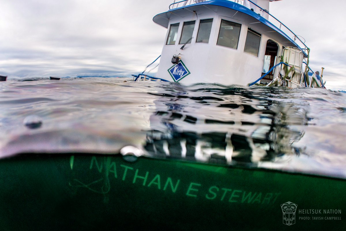 HeiltsukCouncil's tweet image. RELEASE: Heiltsuk Nation turns to courts in wake of spill and botched response: heiltsuknation.ca/one-year-anniv… #bcpoli #cdnpoli