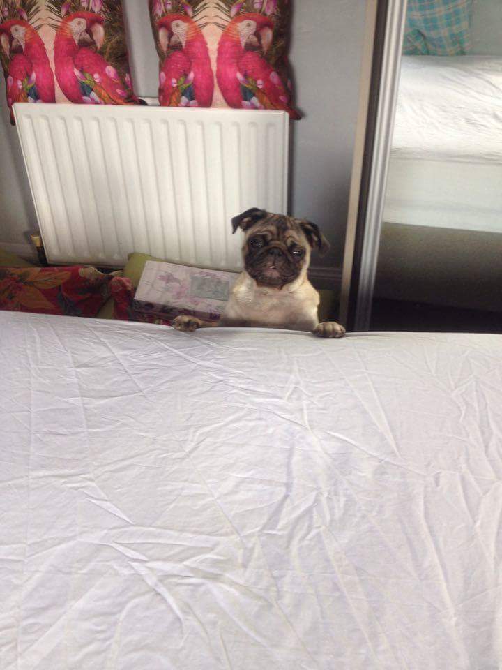 bootys333's tweet image. #thecutest ❤❤