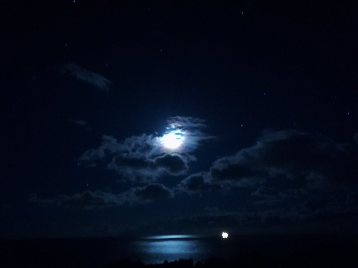 神港つり具 八丈島 Sur Twitter 月が綺麗な夜です 雲と静かな海に照らされて 半月なので星も結構見える 外出て見ないと損ですよ 八丈島