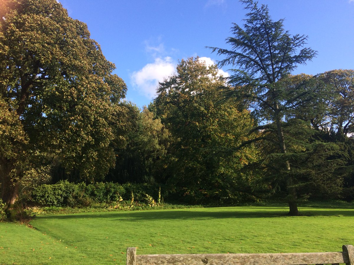 ysjtheatre's tweet photo. A beautiful day has emerged here on our incredible site specific performance retreat with first year #theatre &amp; #dance students https://t.co/r9rKyyuxYY