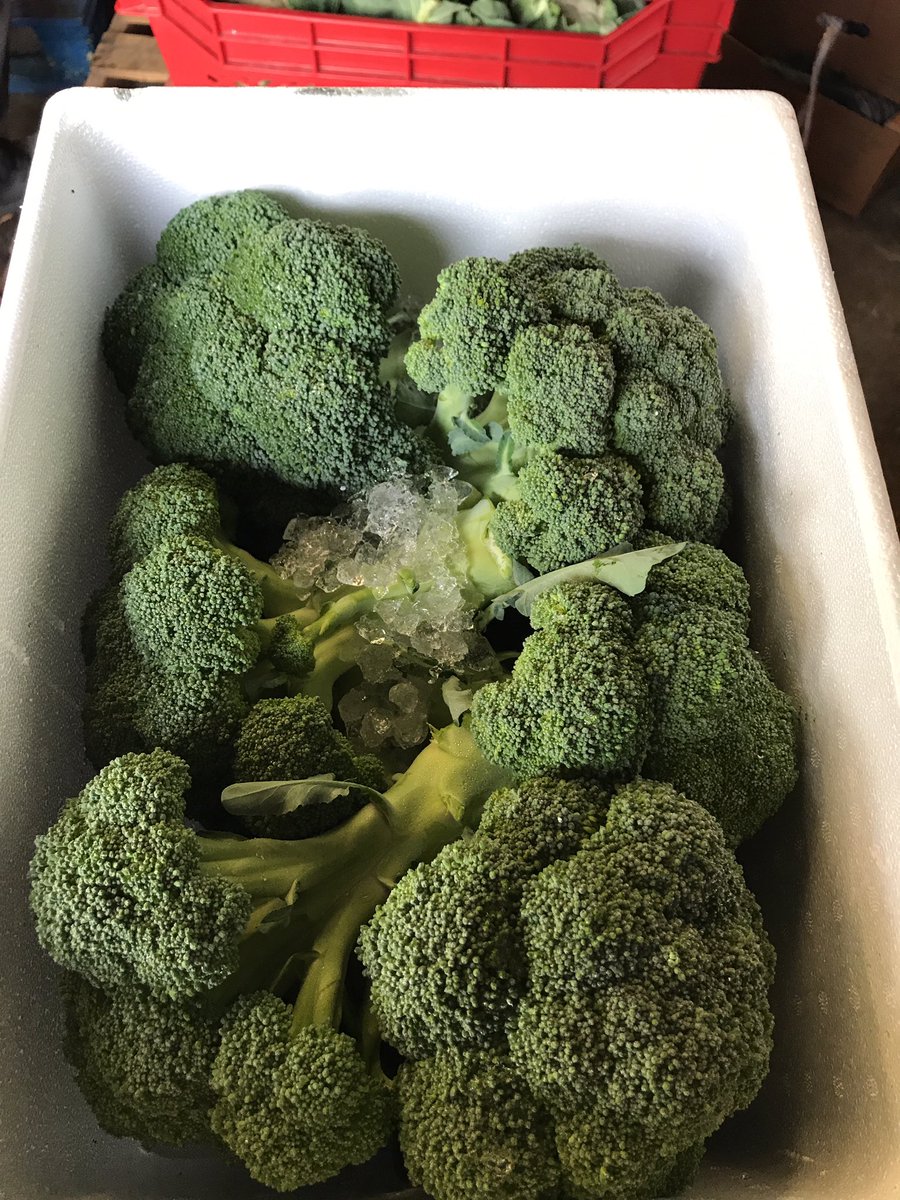 TatwsTrading's tweet photo. No #fake farms here all supplied by @prescottfarms best in the business 👌👌👌👌👌#stall #tatws https://t.co/8QT3z3PI4O