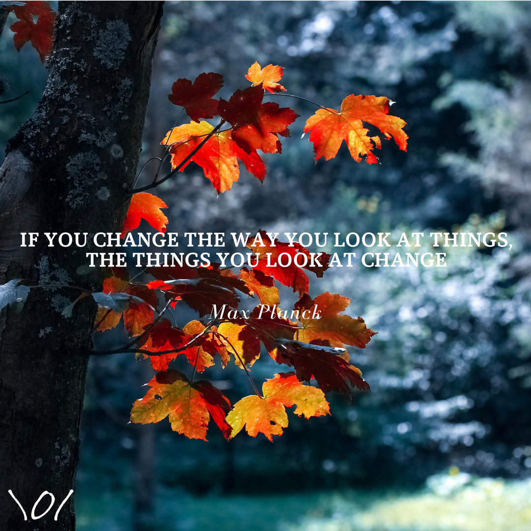 jonvroman's tweet photo. All answers are available to you. If you want to see, it's right there. #WednesdayWisdom #Autumn #Change #FrontRowFactor https://t.co/altk7j1HIl