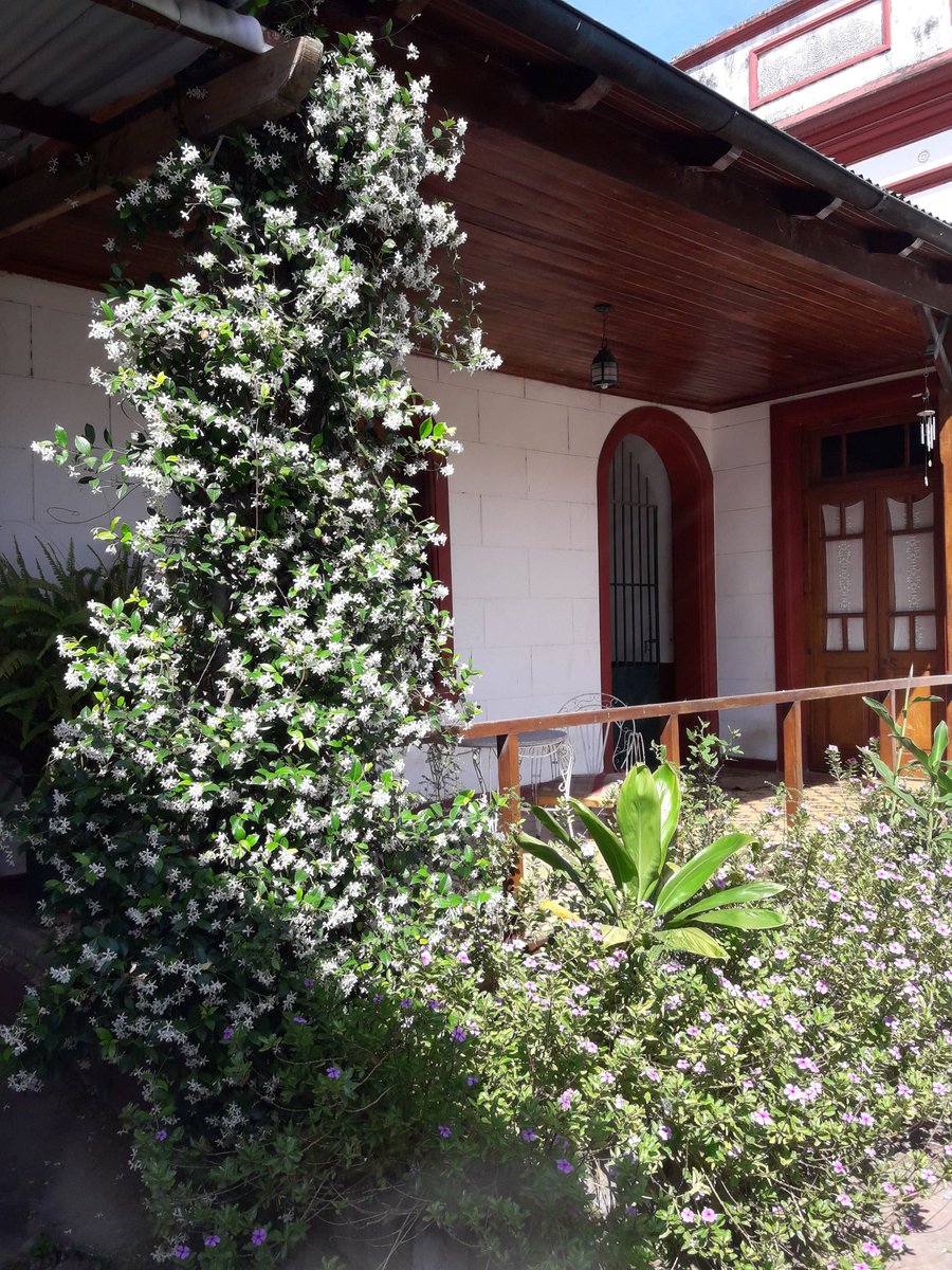 <a href="/BerthaLila3/">Bertha Lila</a> <a href="/Angelic36979174/">Angelica Alvarez Tre</a> <a href="/lilianamignone/">liliana mignone</a> <a href="/anyuparisi/">anyu</a> <a href="/josemabuscari/">josé maría buscari</a> <a href="/lauravelez2013/">Laura🕉️🌷</a> @liliramos6 <a href="/rgb_buo/">Ros_G</a> <a href="/cristinaingalls/">cristina ingalls</a> @Aleclaucornejo @muly60 <a href="/a_flac/">cecilia Daniela 🙌🙌🌎</a> <a href="/hamarga78/">La Hamarga</a> <a href="/nilda_irma/">Irma NILDA PINTOS...</a> <a href="/Veronic76096025/">Veronica</a> <a href="/lipamalagueno/">Patricia Malagueño #NSB</a> @EvaTizzano <a href="/WayneAl49348113/">Wayne Alexander</a> <a href="/ana_haak/">Ana Laura Haak</a> Amo el perfume de jazmín ..les mando un poquito ❤