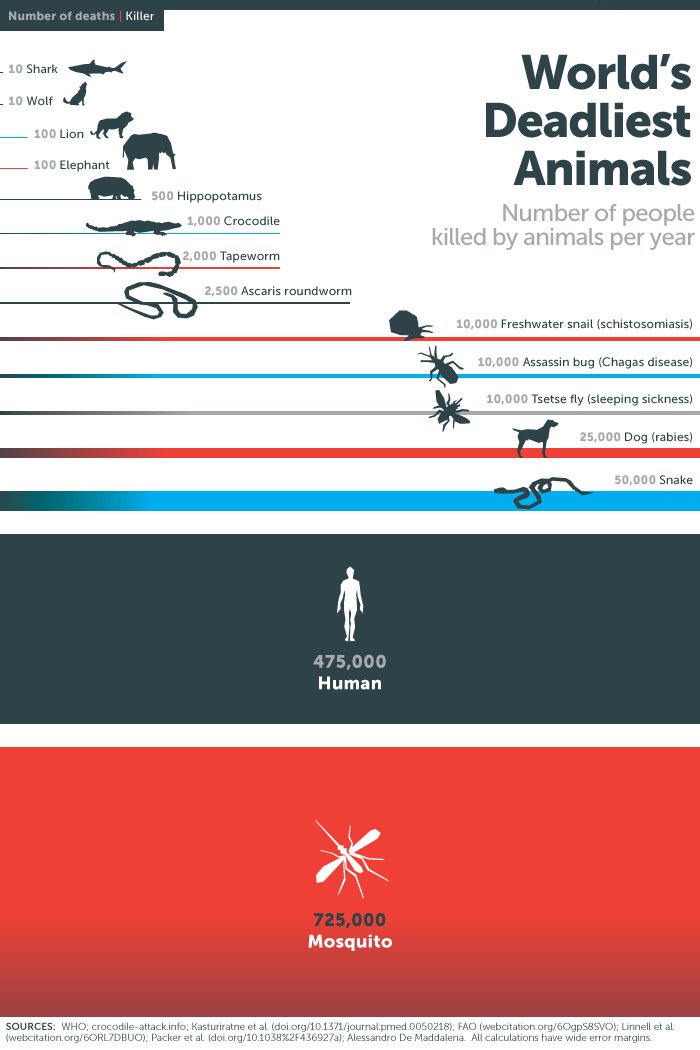 Do you know what the world's deadliest animal is? #notwhatyoumaythink