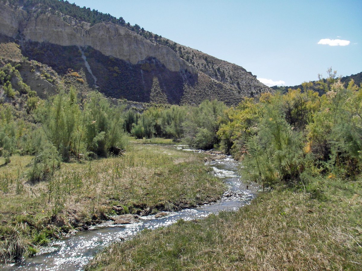 RobViehl's tweet photo. Yellow Creek (trib of White River) ISF decreed to CWCB on Saturday. Water right to protect northern leopard frog &amp; mountain sucker habitat. https://t.co/lQjzGLVTIW