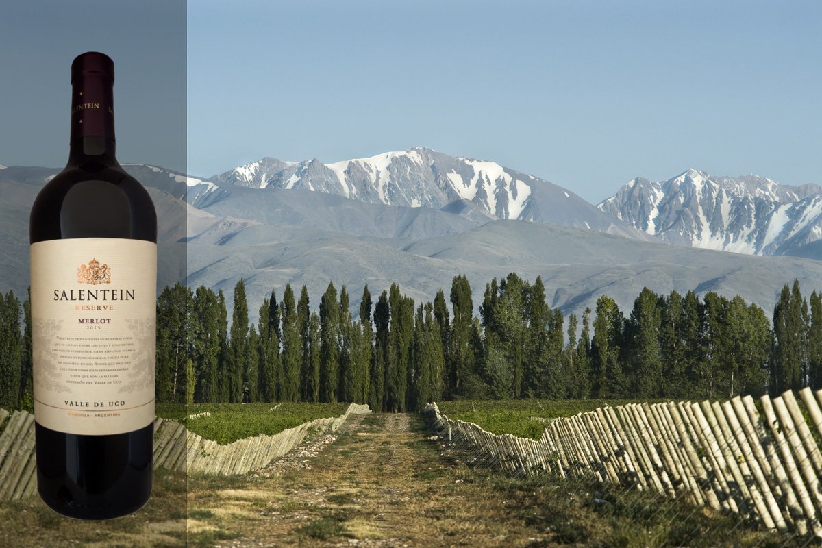 Salentein Merlot Reserve 2015. Malcría bebedores con alta calidad cosecha tras cosecha. Excelente fruta. Típico Merlot. ¡Muy rico!