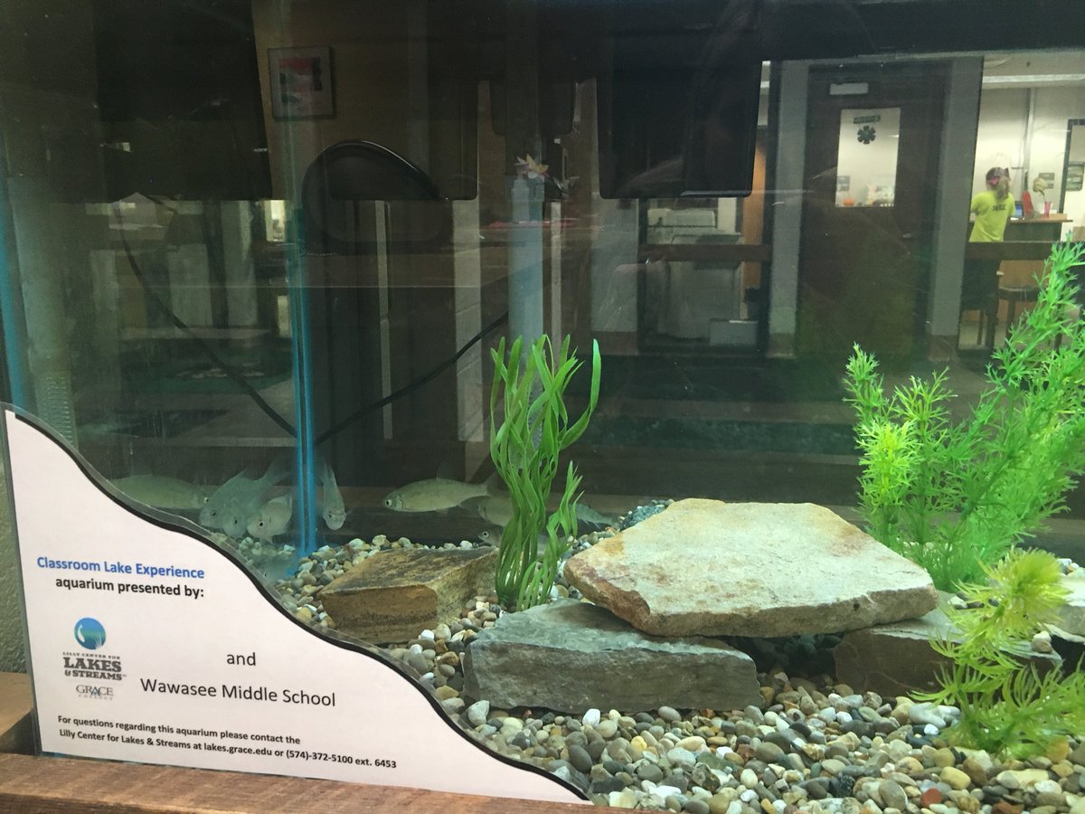 WawaseeMS's tweet image. Thank you Grace College Lilly Center for Lakes and Streams for our office!!!
#classroomexperience