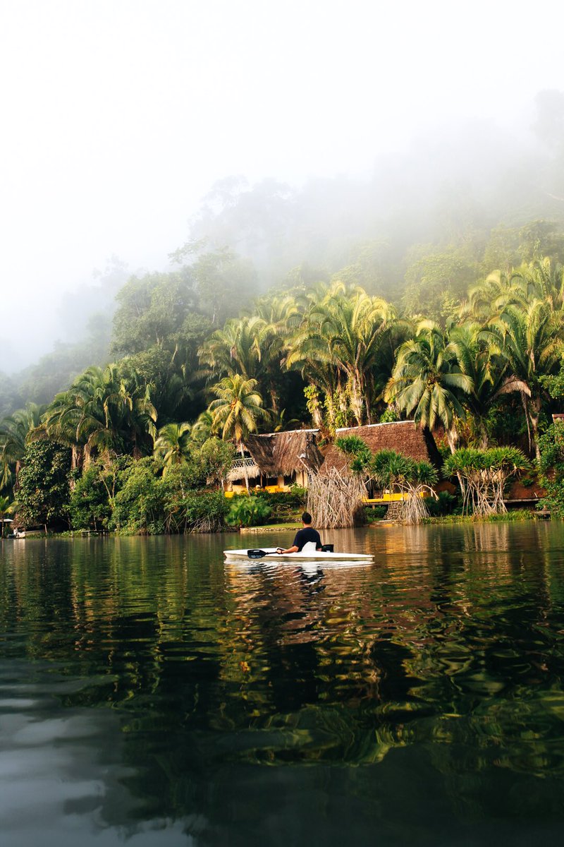 vividroots's tweet image. Day 8 of the Service Adventure Trip We kayak through the jungle 🚣 

#LiveVividly #AdventureForGood
