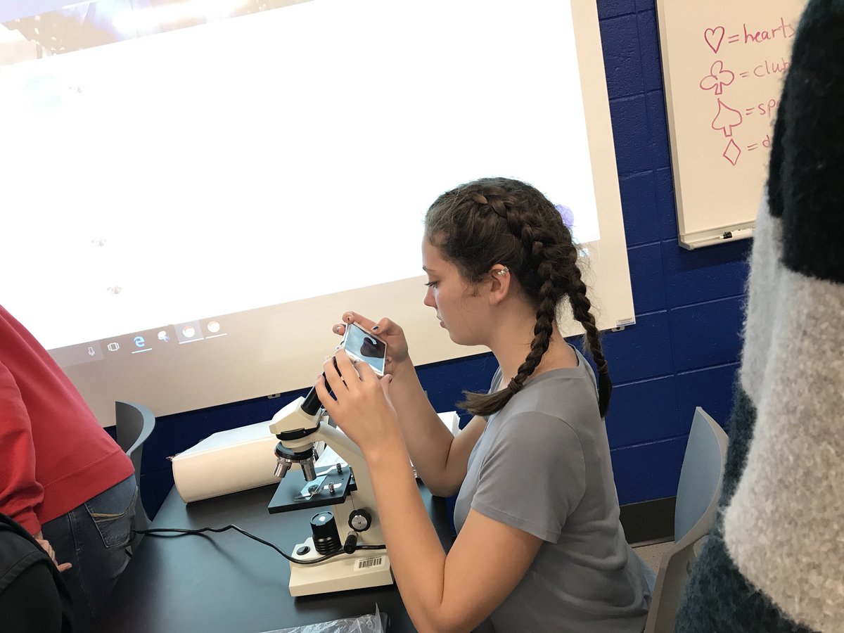 deemeister70's tweet photo. #eahsgo Looking at &amp; taking pics of cool animal, plant, bacteria, &amp; our own cheek cells under the microscope I Honors Bio. https://t.co/uJ78chog5q