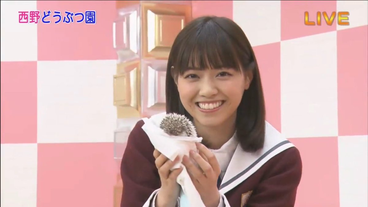 乃木坂 画像店 西野動物園 ハリネズミも可愛いけどそれより なーちゃん可愛すぎないか この笑顔 最 高 リツイートした人全員フォローする 西野七瀬 なーちゃん 西野七瀬可愛い 西野動物園 なーちゃん可愛い 乃木坂可愛い画像 西野七瀬可愛い