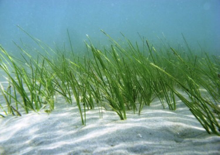 Name more of a dynamic duo. I bet you can’t #PSAT