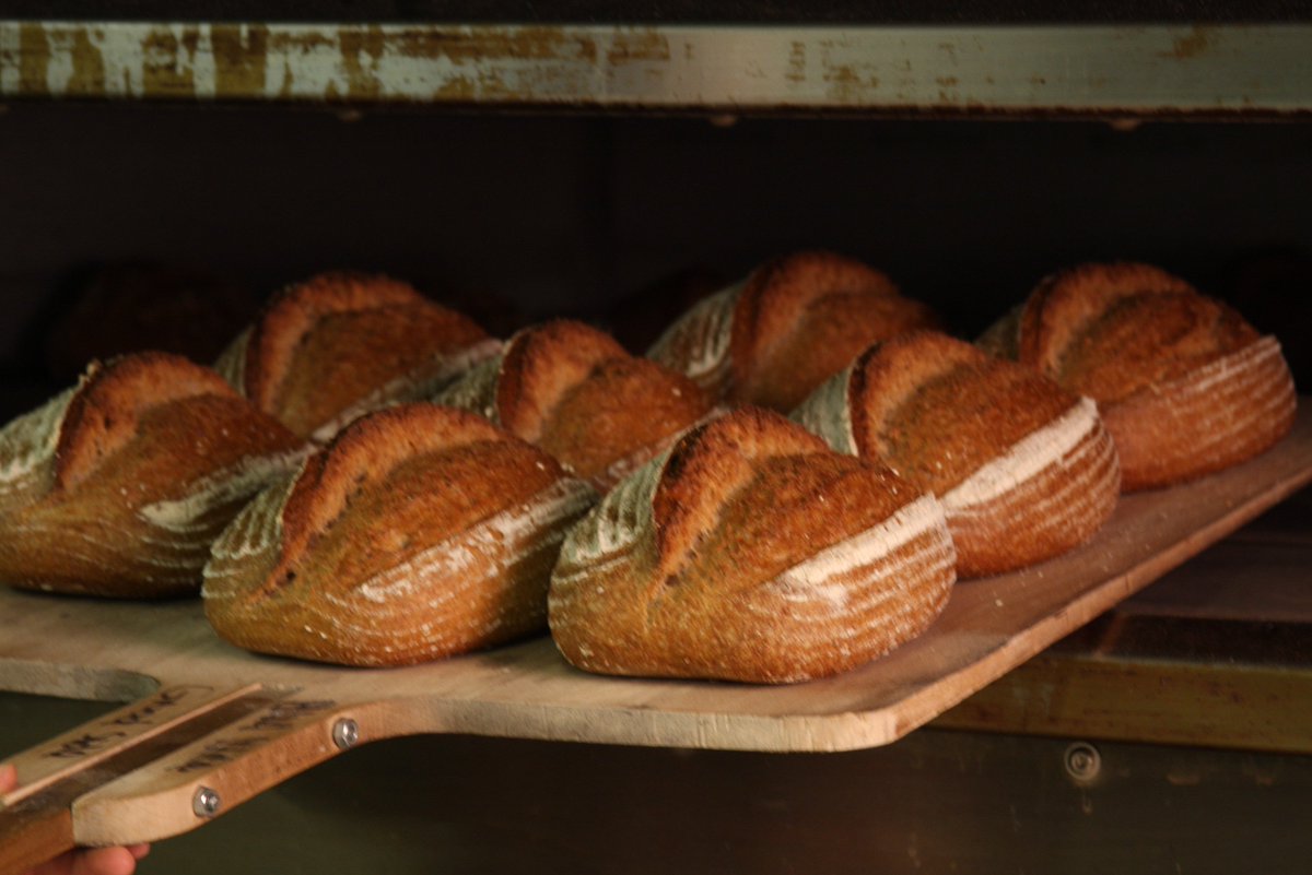 stone_bread's tweet image. Nothing but an honest loaf of bread! #Sourdough #TraverseCity