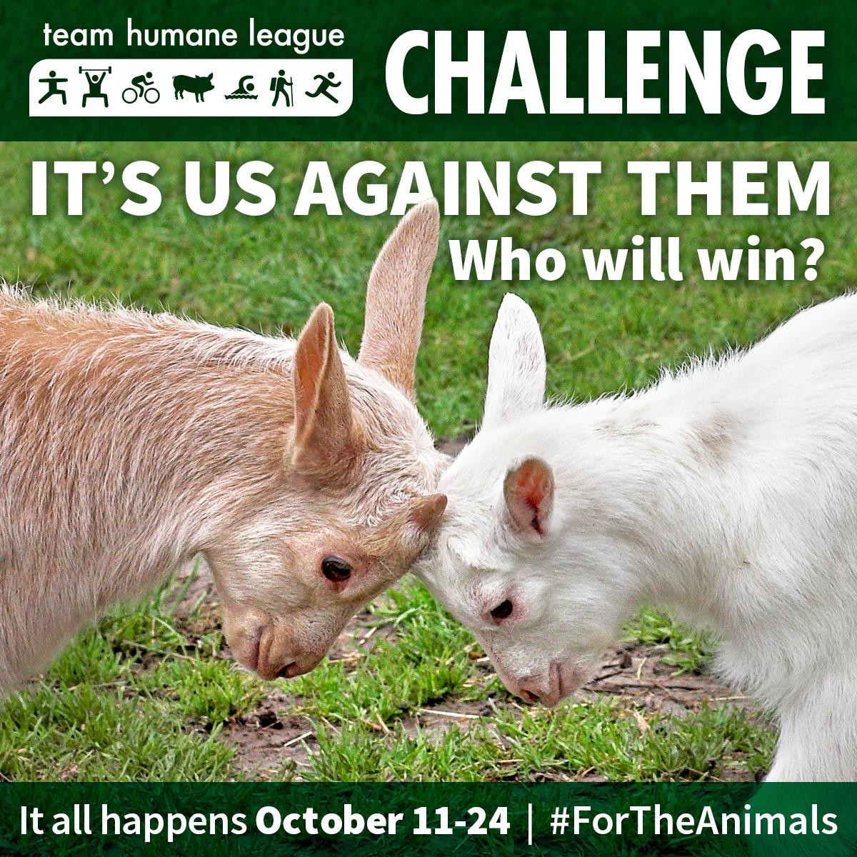 Team Humane League tweet media