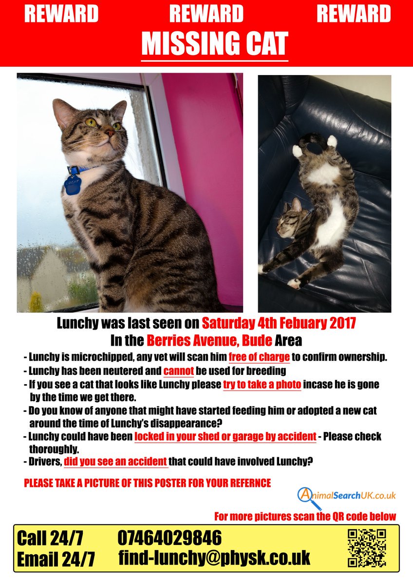 CatsMissing's tweet photo. #FindLunchy #Cat Vanished4/2/17 #Bude #Cornwall Neutered #ScanMe #MissingCatsUK @FindLunchy https://t.co/Z74HI1hsUO #CornwallsMissing Matter https://t.co/0D3qzkeKo7