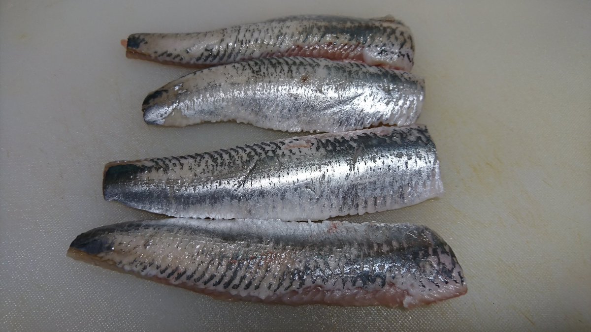 うめ Uroko 鱗 Dr Auf Twitter 角上魚類 で初めて 魚買った 丸々太った カマス一匹350円 脂の乗りまくったイワシ二匹で160円 共にお刺身で カマスの刺身 うまい イワシも 脂乗りまくり そして くじらのゆっけ500円ちょい これで1000円 いやー うまいし