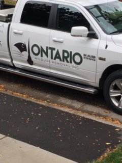 How do you know your day is off to a rocky start? This vehicle is parked at your house. Thanks <a href="/Wildlife_Jared/">Jared Houliston</a> for the quick service!