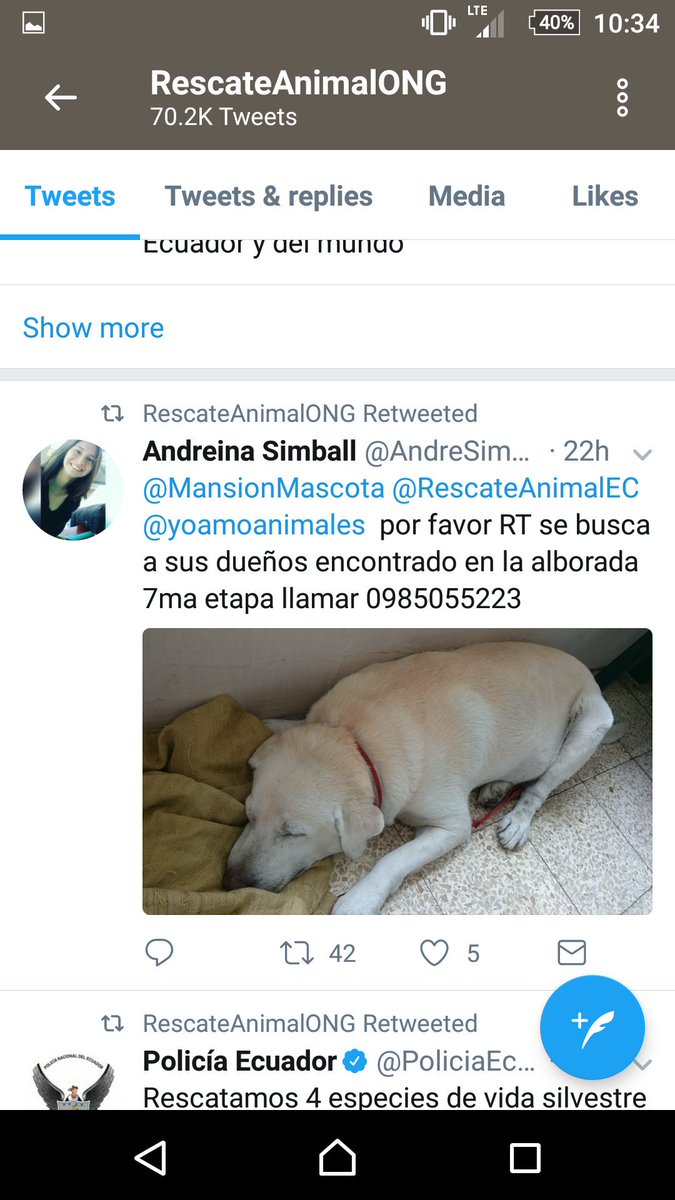 AndreSimball's tweet photo. RT por favor @RescateAnimalEC @yoamoanimales https://t.co/ne6TMaA8YL