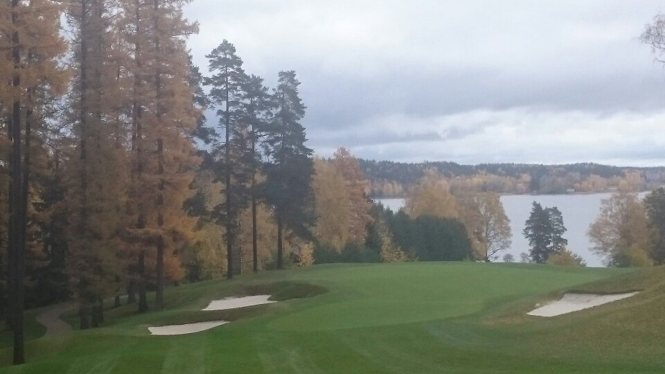 Huoltohalli's tweet photo. Larix trees ⛳. #larix #lehtikuusi #golfcourse #ruska #autumn #southeast9 #kytajagolf #kytäjägolf #greenkeeper #finnishnature https://t.co/9HfacbythE
