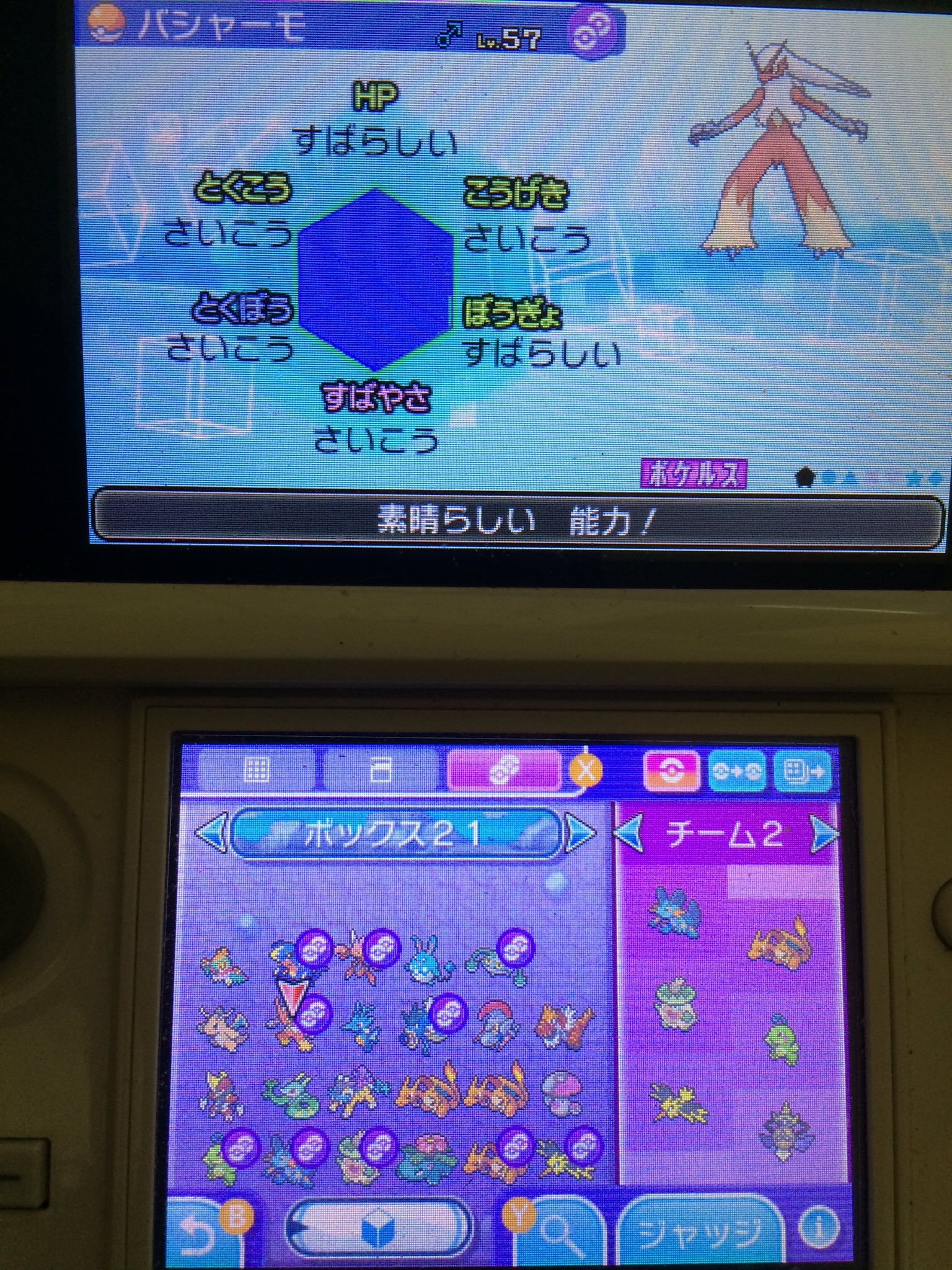 Qian Qi Xin Twitter પર Usumではカロスマークのポケモンは使えなくなるのかな もしかしてまたカロスマークのポケモン 作り直し このめざ氷バシャーモとか数日かかりました 厳選は親がいれば少しは楽になるけど 今使ってるカロスマークのめ
