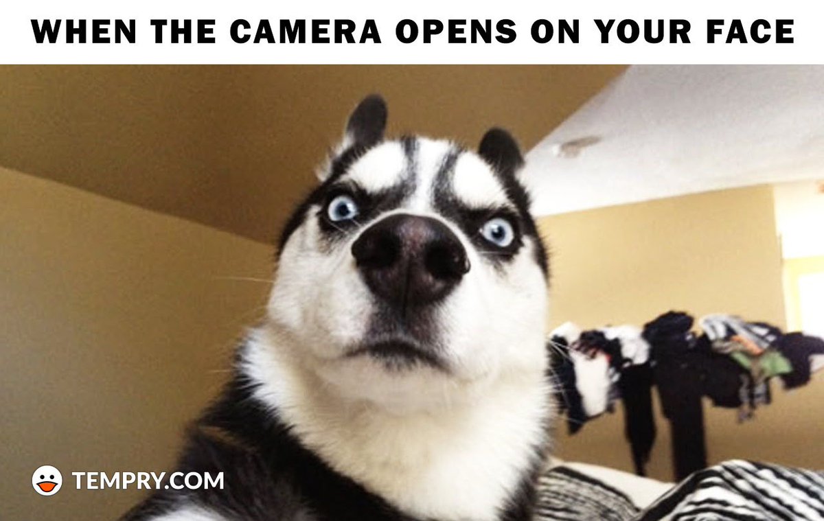 TempryApp's tweet image. So true...