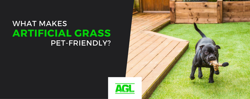 artificialgras_'s tweet photo. What Makes Pet-Friendly Artificial Grass Safe and Beneficial? https://t.co/rkHCvzxi3R
#landscaping #petowners https://t.co/cToDOrQjtb