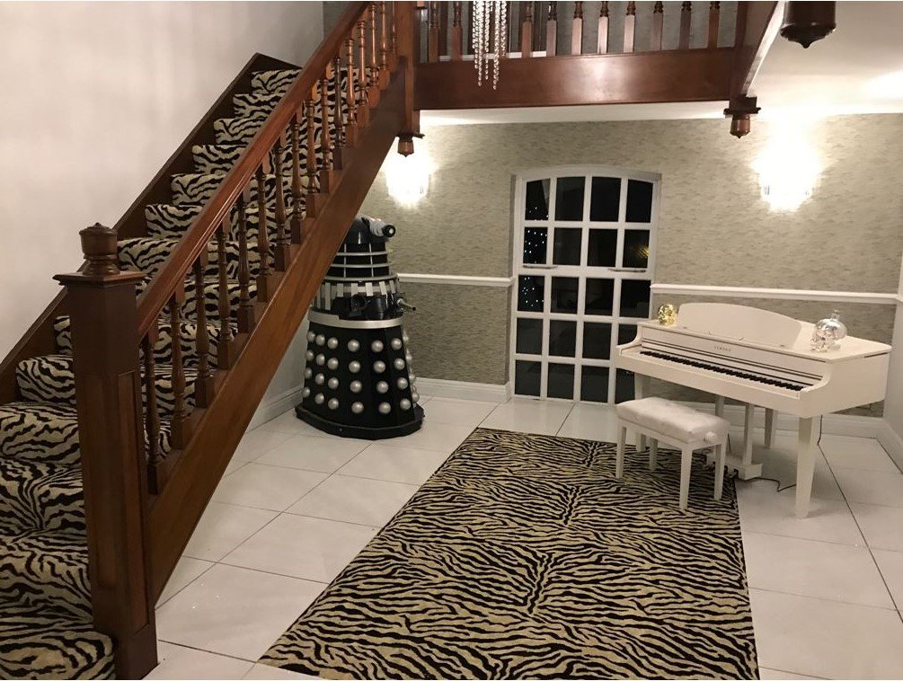 Animal Print Carpets tweet media