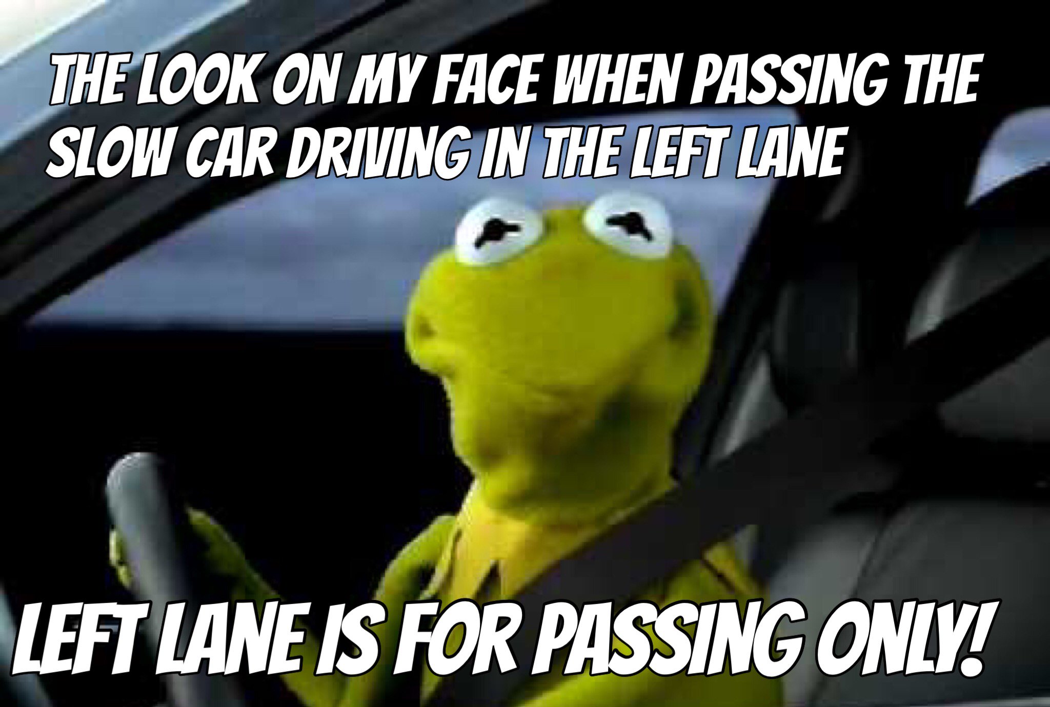 kermit the frog driving face