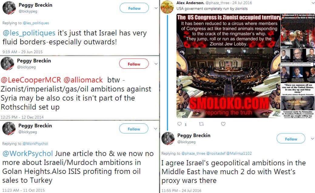 GnasherJew's tweet photo. We featured this @UKLabour mem before but, she still keeps on with her the antisemitic conspiracy theories &amp; sharing the Daily Stormer! https://t.co/iBAcfZsvHD