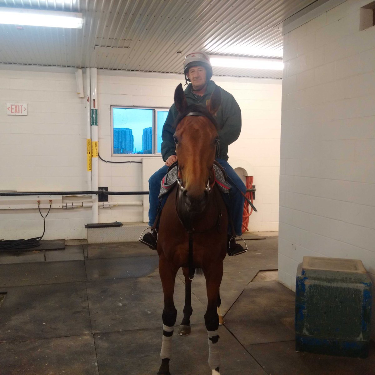 KarlLagerborg's tweet photo. Nezwaah returns from training with Wayne Tanner @WoodbineRacing this morning. #EPTaylor https://t.co/O376MsEVra