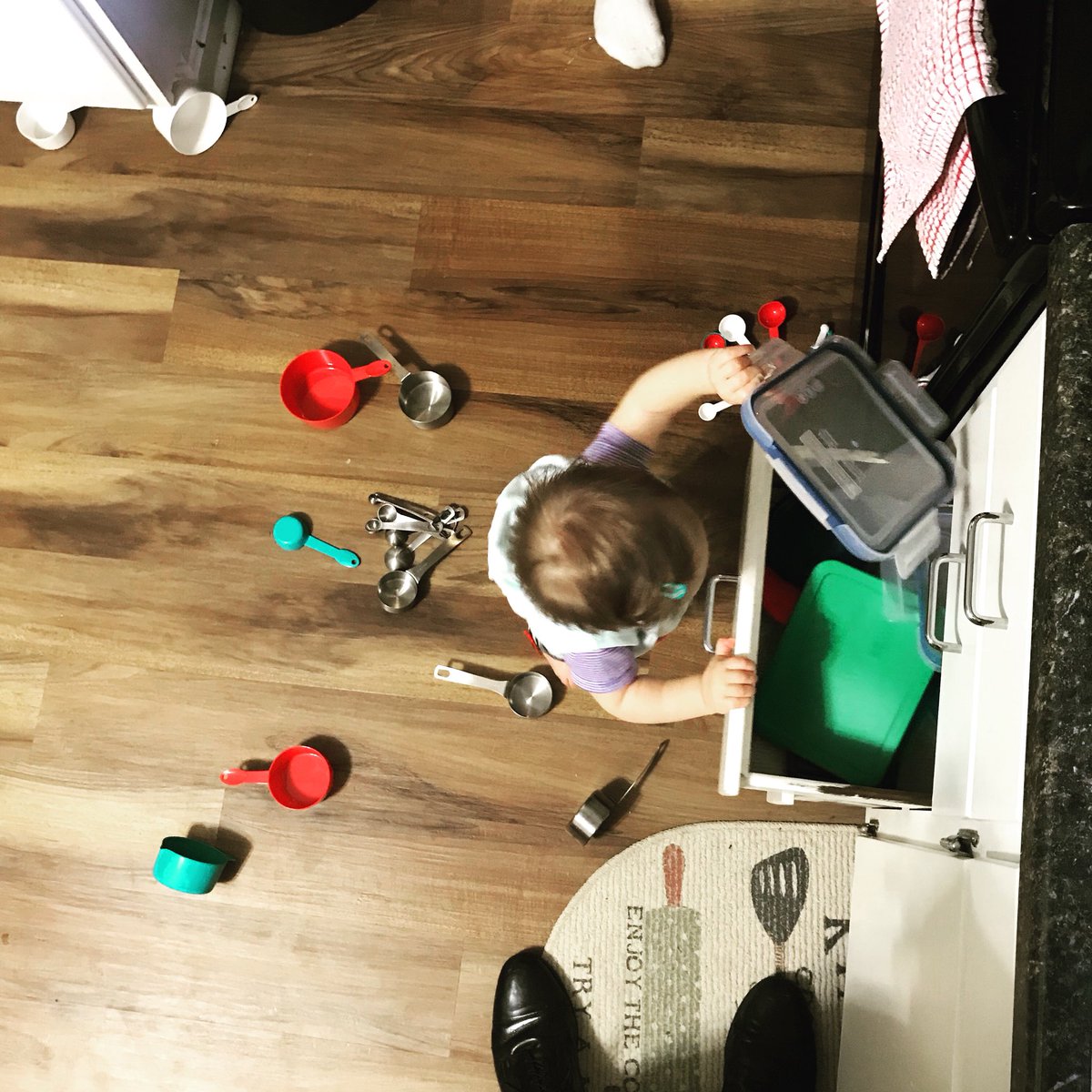 amacphailfausey's tweet photo. Just pulling everything out of the drawers... Periodically licking things... Babies are weird #whyevenclean #messyissomuchmorefun https://t.co/CFMpXoVga5