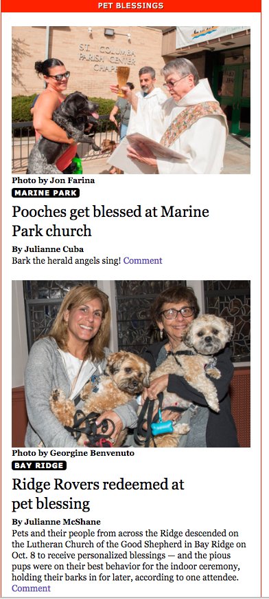 Julcuba's tweet photo. When two different reporters cover two different pet blessings in two different Brooklyn neighborhoods @juliannemcshane https://t.co/jrejQVfVx0