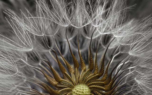 Mariecurie_alum's tweet photo. Nikon's Photomicrography contest puts spectacular #science under the microscope. Some truly amazing photos: https://t.co/BtTCiYAIDo https://t.co/nRJqKJlKlh