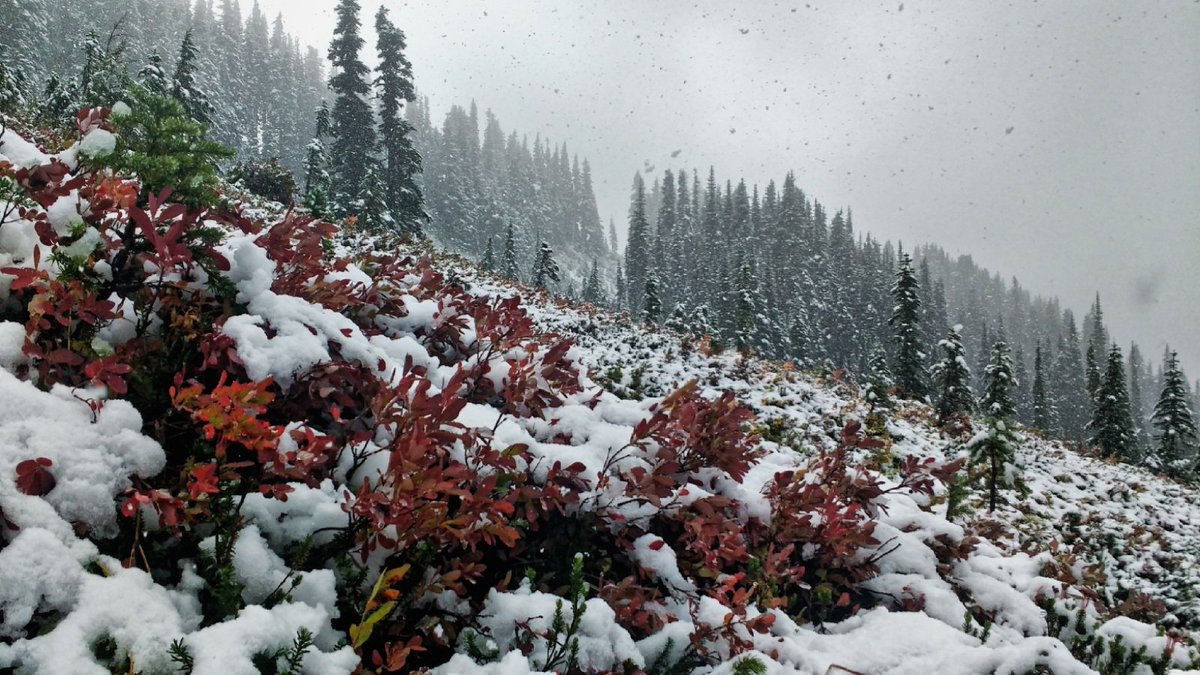 TKoutside's tweet image. Because the season is so short up there, I keep going back. Don't want to miss a minute of this.