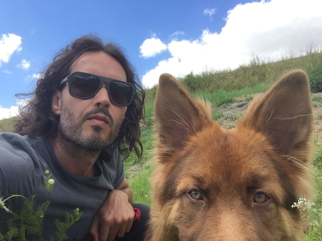 Russell Brand tweet media