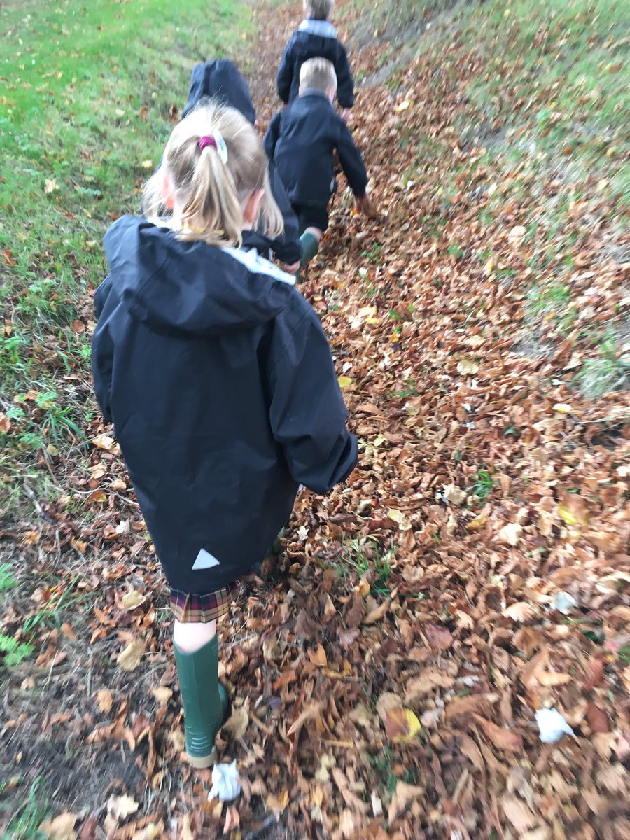 FPSStewartHouse's tweet photo. Taking a walk to hear the leaves crunching under our feet 🍂#FelstedReception #fps #autumndays #thebestfeeling #colourhunting https://t.co/M9TQZgujXU