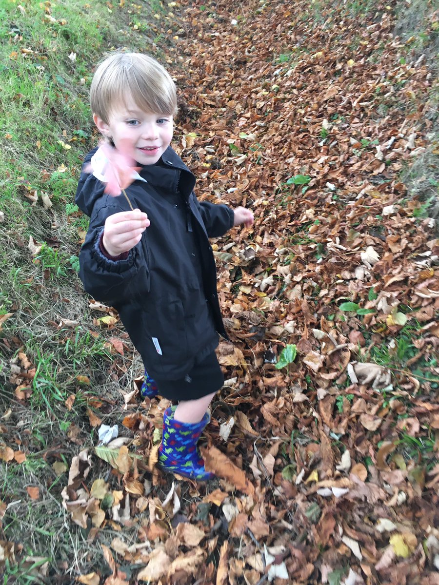 FPSStewartHouse's tweet photo. Taking a walk to hear the leaves crunching under our feet 🍂#FelstedReception #fps #autumndays #thebestfeeling #colourhunting https://t.co/M9TQZgujXU
