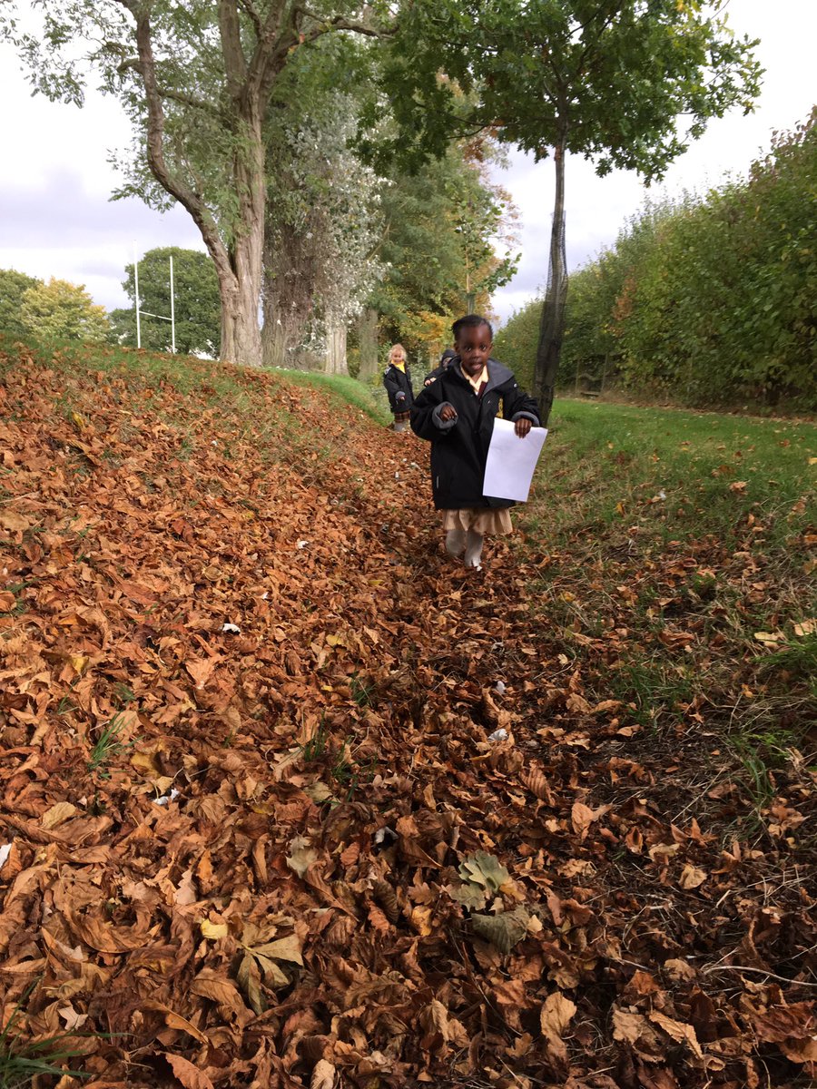 FPSStewartHouse's tweet photo. Taking a walk to hear the leaves crunching under our feet 🍂#FelstedReception #fps #autumndays #thebestfeeling #colourhunting https://t.co/M9TQZgujXU