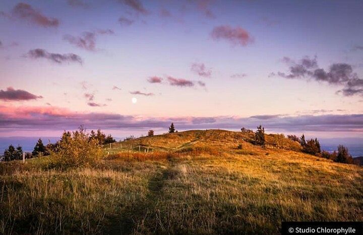 welovealsace's tweet photo. Belle fin de journée #igers
Merci @studio_chlorophylle
Sélection @virginiedebruyne
#welovealsace
#jaimelafrance
#igersfrance
#monalsa… https://t.co/9RUKgh5H0h