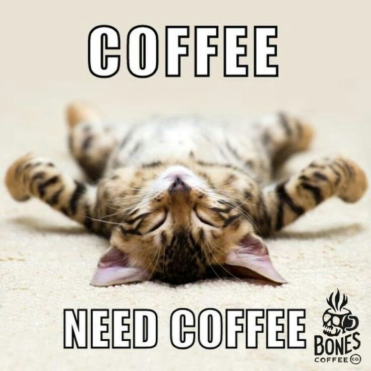 LizAFGirl's tweet photo. Happy Wednesday !! @USAFA_CCLD @mickeyaddison @fritzmt @OfficerDown1199 @ChicagosFines19 @BobbyM62 https://t.co/oPEFN4BrjA