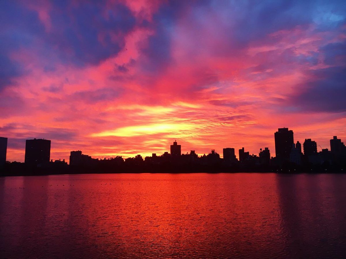 CentralParkNYC's tweet photo. Did you catch this morning’s sunrise in NYC? Here’s the view from the Reservoir. 😍 https://t.co/Pow7ktfmRy